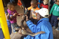 Eric Betty Boa - mobile animal show